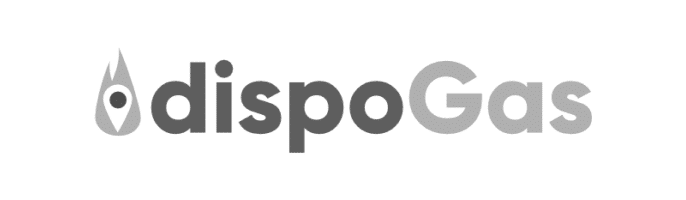 lead-consult_leaders-summit_dispogas_sw